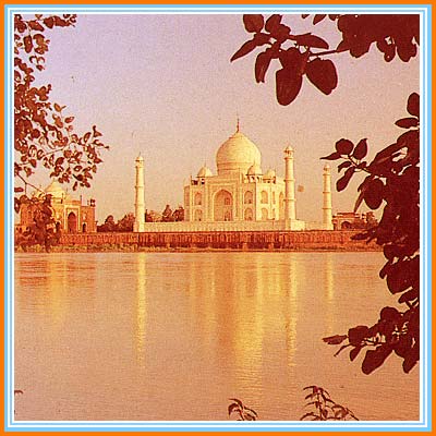 taj_small88.jpg